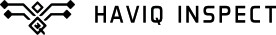 Haviq inspect